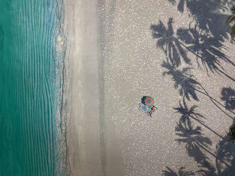 Enchanting Original on Canvas William Mason Tropical Oasis