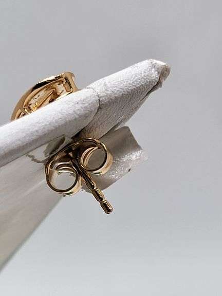 Magnificent pair earring of Ruby and diamond in Silver – GGA Certified