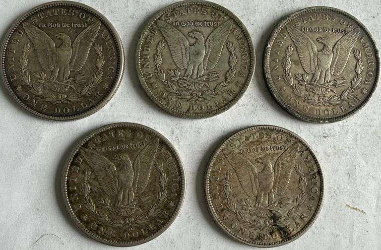 Five Toned Morgans