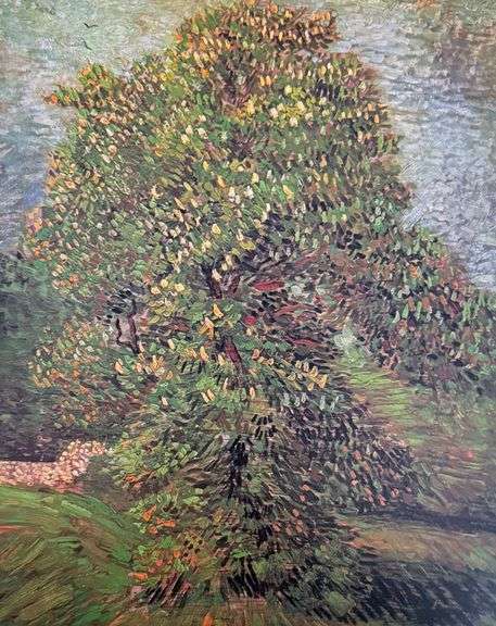 Vincent Van Gogh, Chestnut Tree in Flower