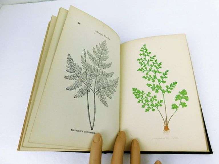 1890's The Fern Garden Antique Book