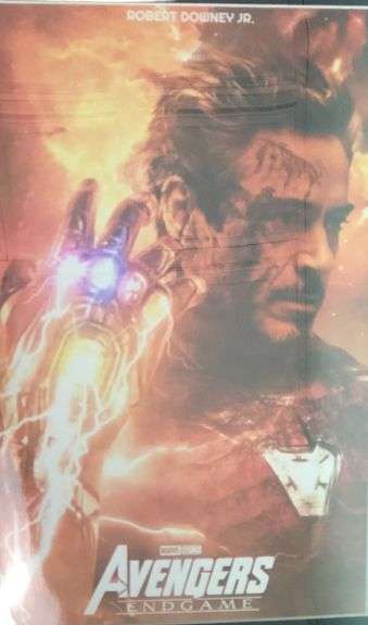 Robert Downey Jr. Full Signature Signed Framed Avengers Photo Display