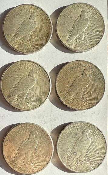 Six 1922 1923 Peace Dollars