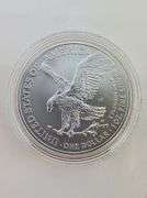 2021-W American Silver Eagle, OGP