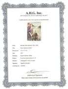 Original plate Signed Salvador Dalí Lithograph from the Romeo & Juliet Rizzoli Edition, Milan 1975