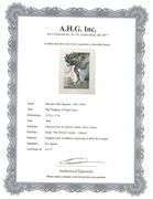 Highly Collectible Salvador Dali Original Color Engraving from The Divine Comedy