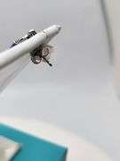 Magnificent pair earring Tanzanite and diamond in Silver – GGA Certified