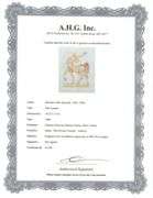 Highly Collectible Salvador Dali Original Color Engraving from The Divine Comedy