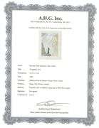 Collectible Original Color Engraving by Salvador Dali from The Divine Comedy