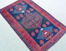 Handmade Persian Bakhtiari 4.8x7.8