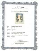 Collectible Original Color Engraving by Salvador Dali from The Divine Comedy