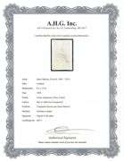 Very rare Henri Matisse etching, C.1920, from the series of Cinquante Dessins