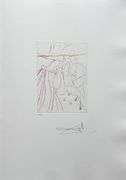 Highly Collectible and Rare Salvador Dali Hand-signed Original Engraving