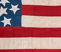 Historical art! " Majestic Flower " original painting by Chad Fandel is a commanding pop art piece