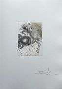 Highly Collectible and Rare Salvador Dali Hand-signed Original Engraving