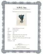 Rare Salvador Dali Original Engraving from The Divine Comedy, Inferno