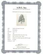 Highly Collectible Salvador Dali Original Color Engraving from The Divine Comedy