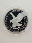 2024-W Proof American Eagle, OGP