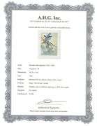 Rare Salvador Dali Original Engraving from The Divine Comedy, Purgatory