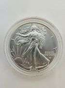2021-W American Silver Eagle, OGP
