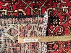 Stunning Persian Hamedan  Rug 3.10x9.5