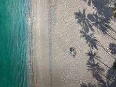 Enchanting Original on Canvas William Mason Tropical Oasis