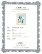 Collectible Original Color Engraving by Salvador Dali from The Divine Comedy