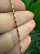 Sterling Silver 925 Snake Chain w/ Gold Plated 9" Bracelet Anklet