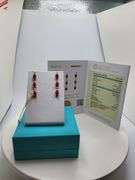 Magnificent pair earring of Ruby and diamond in Silver – EGL Certified