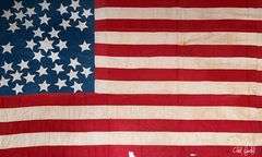 Historical art! " Majestic Flower " original painting by Chad Fandel is a commanding pop art piece