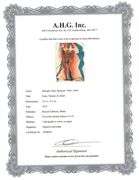 Original Salvador Dalí Lithograph from the Romeo & Juliet Rizzoli Edition, Milan 1975