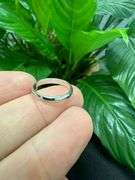 14k White Solid Gold 3mm Domed Plain Men's Women's Wedding Band Size 7