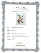 Collectible Original Color Engraving by Salvador Dali from The Divine Comedy