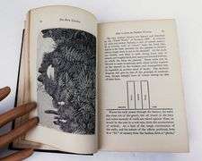 1890's The Fern Garden Antique Book