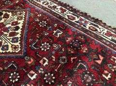 Persian Hamedan Runner 3.4x10