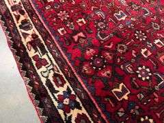 Persian Hamedan Runner 3.4x10