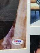 Sarah Jessica Parker Autographed 9 Photo Custom Display AFTAL UACC RD COA PSA PSA