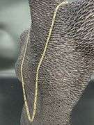 10k Yellow Gold-Hollow Pave Figaro Link Chain 4.3mm Necklace 28"