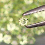 Brilliant! 100 gemstones! 3.60ct untreated lime green Peridot set!