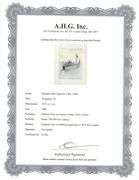 Rare Salvador Dali Original Engraving from The Divine Comedy, Purgatory