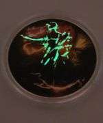 2024 Colorized Silver Eagle, "4th Of July" Glow In The Dark