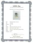 Rare Salvador Dali Original Engraving from The Divine Comedy, Inferno