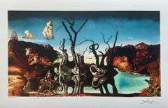Limited Edition Salvador Dali, Swans Reflecting Elephants