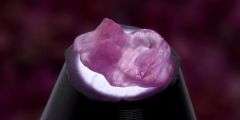 Untreated! Uncut! 101.25 carats of Tanzanian Ruby!!! 294 pieces!!!