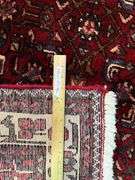 Persian Hamedan Runner 3.4x10