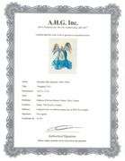 Collectible Original Color Engraving by Salvador Dali from The Divine Comedy