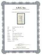 Very rare Henri Matisse etching signed in the plate, C.1920, from the series of Cinquante Dessins