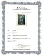 Collectible Original Color Engraving by Salvador Dali from The Divine Comedy