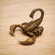 Vintage-Style Brass Scorpion