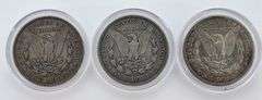 Littleton Set of 1921 P, D, S Morgan Dollars